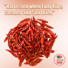 Amazing Chiles & Spices primer plano de textura de chile de árbol resaltando piel seca y aroma concentrado