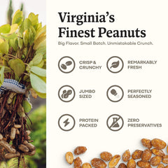 Belmont Peanuts cacahuetes en un bol listos para servir, aporte crujiente y sabor
