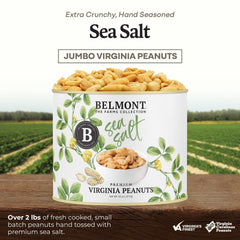 Belmont Peanuts primer plano textura crujiente que resalta frescura
