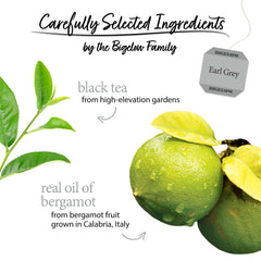 Bigelow Tea hojas de té negro y partículas de bergamota para aroma equilibrado