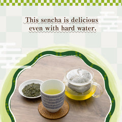 BJDesign HAJIME taza humeante de sencha listo para beber, sabor equilibrado
