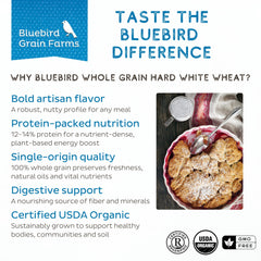 Bluebird Grain Farms granos en mano para ver escala y facilidad de uso doméstico