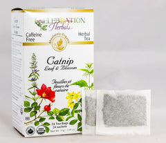 Celebration Herbals bolsita individual con seda visible para preparación rápida
