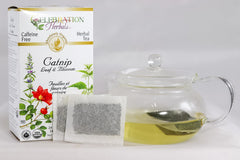 Celebration Herbals primer plano de hojas y flores de catnip orgánico frescas