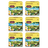 Celestial Seasonings paquete frontal mostrando 40 bolsitas y beneficio de suministro prolongado