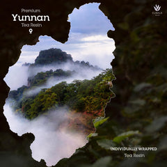 CUSHLA comparativa de tamaño con mano para visualizar las piezas individuales