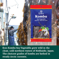 CREATION AND MAINTENANCE OF PURITY IN FOOD Eden Kombu infusionando dashi, sabor umami natural