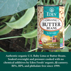CREATION AND MAINTENANCE OF PURITY IN FOOD habas en ensalada listas para servir y nutritivas