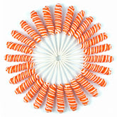 Fun Express empaque frontal con 24 paletas naranja, ideal para fiestas