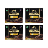 Ganoderma Reishi Coffee mix pack frontal mostrando cajas y sobres, práctico y compacto