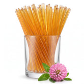 GloryBee paquete frontal con 100 honey stix, fácil almacenamiento