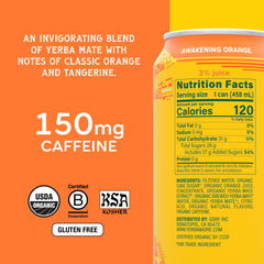 Guayaki Yerba Madre primer plano de textura y burbujeo resaltando frescura