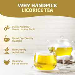 HANDPICK primer plano de la mezcla de regaliz y especias aromáticas