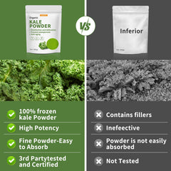 Hudetex batido verde preparado con polvo de kale para energía diaria