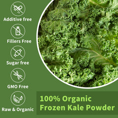Hudetex textura fina del polvo de kale liofilizado para mezcla rápida