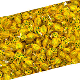 LAETAFOOD bolsa frontal mostrando caramelos de limón, atractivo y fresco