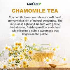 LeafLea textura de flores de manzanilla en primer plano, aroma preservado
