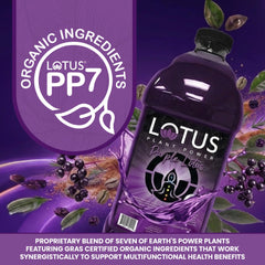 LOTUS PLANT POWER vaso preparado con gas demostrando bebida fresca y brillante