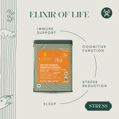 Luxmi mano vertiendo agua caliente sobre mezcla, preparación sencilla