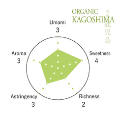 きみくら color verde brillante en taza, aspecto fresco y apetecible