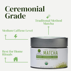 Matcha Kari servido en taza tradicional durante ceremonia, experiencia auténtica