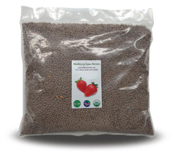 Mulberry Lane Farms empaque frontal mostrando lentejas y certificación orgánica