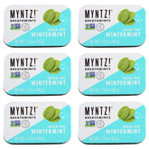 MYNTZ! lata frontal mostrando diseño y frescura portátil