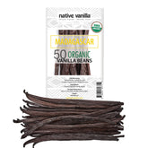 Native Vanilla vaina frontal en primer plano mostrando color oscuro y humedad