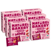 Nature's Bakery frente del empaque mostrando pack de 60 unidades y conveniencia