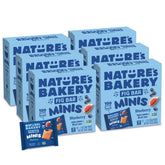 Nature's Bakery paquete frontal mostrando 60 minis, conveniencia para despensa
