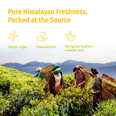 NEPAL TEA brotes tiernos cerca resaltando aroma floral natural