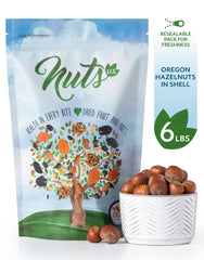 NUTS - U.S. avellanas peladas mostrando interior mantecoso y fácil uso culinario