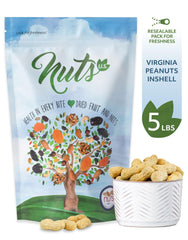 NUTS U.S. primer plano de textura de granos que destaca tamaño y calidad