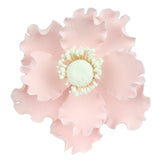 O'CREME anémona frente del empaque mostrando las tres flores y presentación elegante