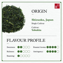 Ocha & Co. taza servida con Sencha verde dorado, ofrece sabor suave y aroma