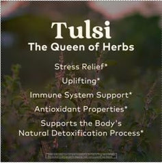 ORGANIC INDIA mezcla de Tulsi, ashwagandha y manzanilla en detalle