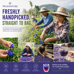 PICKNATURE cambio de color azul a morado con jugo de limón mostrando efecto visual