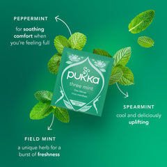 Pukka taza humeante de Three Mint preparada, transmite frescura y confort