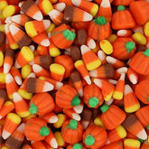 QUEEN CITY CANDY CAVE bolsa frontal mostrando mezcla otoñal y conveniencia