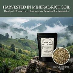 RCSCBC Blood Detox Tea Jamaica primer plano de hojas enteras con textura y aroma