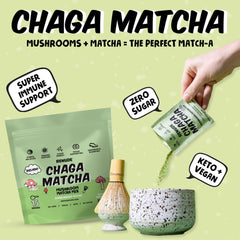 Renude polvo de Chaga Matcha en primer plano con textura fina y color verde