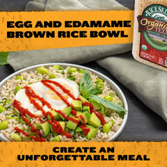 RiceSelect arroz Texmati cocido en plato, textura suelta y firme