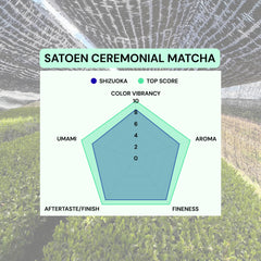 SATOEN GROUP matcha batido en bol con espuma cremosa y sabor auténtico