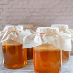 Scoby Kombucha SCOBY sumergido en líquido iniciador para iniciar fermentación