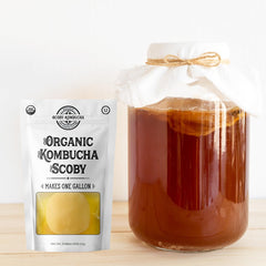 Scoby Kombucha textura cercana de la pellicula mostrando cultivos activos y salud