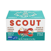 Scout lata frontal del producto con presentación compacta y práctica