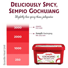 Sempio usado en bibimbap en bol aportando color y sabor equilibrado