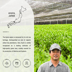 Senbird polvo de matcha en primer plano con textura intensa