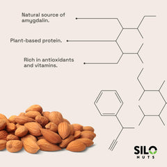 SILO NUTS semillas en cuenco listas para cocinar con sabor auténtico