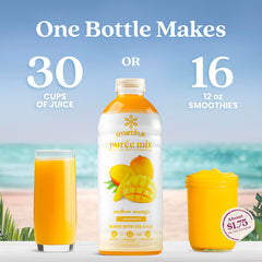 Smartfruit vertido desde la botella para preparar bebidas rápidas